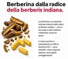 Medical Pharma Berberine HCl 60 kapslí Náhled obrázku produktu 2