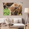 MuchoWow® Wandteppich Wandbehang Schottische Hochlandrind - Produktbild-Vorschau 5