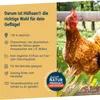 A close-up of a chicken with text on the left side listing product benefits. Produktbild-Vorschau