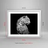 Gerahmtes Poster - Weißer Rahmen - Leopard Panther Katze - Produktbild-Vorschau 5