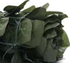 A close-up view of a rolled-up artificial hedge or screen, showing the green leaves and the wire frame holding it together. Náhled obrázku produktu