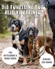 RUDELKÖNIG Führleine Bella in khaki – 2,30 m verstellbare & Produktbild-Vorschau 6