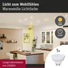 Paulmann Standard 230V LED Reflektor Produktbild-Vorschau 4