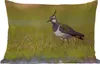 MuchoWow® Outdoor Kissen - Vogel - Gras - Natur - Tiere - Produktbild-Vorschau 1