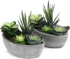 T4U pianta artificiale succulenta verde set di 2 con vaso Anteprima dell’immagine prodotto 1