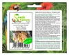10x Uvaria littoralis Strauch Garten Pflanzen - Samen Produktbild-Vorschau 1