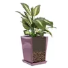 Blumentopf Blumenübertopf mit Untersetzer Blumenbehälter Produktbild-Vorschau 9