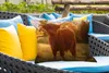 MuchoWow® Outdoor Kissen - Schottisches Hochlandrind - Gras Produktbild-Vorschau 4