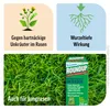 Roundup Rasen-Unkrautfrei 250ml Konzentrat gegen Produktbild-Vorschau 2