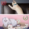 Graffiatoio per gatti Giocattolo di cartone per divano Anteprima dell’immagine prodotto 3