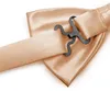 Ladeheid Elegante Herren Fliege -Hochwertig Glänzend Produktbild-Vorschau 3