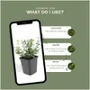Plants by Frank | 12 Plantes de fusain multicolores | Voir les images du produit 5