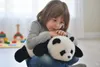 Interaktiver KI-Panda mit ChatGPT – Elektronisches Produktbild-Vorschau 19
