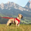 Imbracatura Basic Air-Mesh Red XS Anteprima dell’immagine prodotto 3