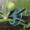 Gardlov 22586 Pflanzenklammern, 108 Stück Produktbild-Vorschau 4