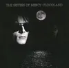 The Sisters Of Mercy - Floodland (Edizione limitata) Anteprima dell’immagine prodotto 1