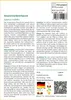 SAFLAX - Gewürzlorbeerbaum - Laurus nobilis - 6 Samen Produktbild-Vorschau 3