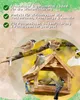 A wooden bird feeder with various birds around it, set against a soft yellow and green background with text overlays. Produktbild-Vorschau