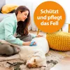 Ardap Anti Floh Hunde Shampoo 250Ml Produktbild-Vorschau 7