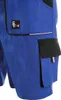 Kurze Arbeitslatzhose CXS LUXY DENIS 62 Produktbild-Vorschau 3