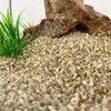 Schicker Mineral-Aquariumkies beige 25 kg-2,0-3,15mm Produktbild-Vorschau 4