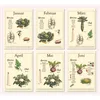 Saisonkalender für Obst und Gemüse im A4-Format – liebevoll illustriert im Vintage-Stil. Produktbild-Vorschau