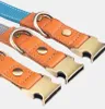 Hundeleine & Halsband Set aus Nylon mit Leder – robust, Produktbild-Vorschau 3