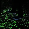 Kamienie świecące fluorescencyjne kamyki 100 szt zielone do Podgląd zdjęcia produktu 7