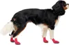 Scarpe per cani Goo-eez Lites rosso/nero - confezione da 4, Anteprima dell’immagine prodotto 2