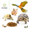 UGF vers de Farine séchés de qualité supérieure 460 g (seau Voir les images du produit 2