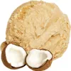 Kokosmilch Nuss Speiseeis Pulver 1 kg Produktbild-Vorschau 2