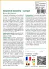 SAFLAX  - Bananier de Darjeeling - 5 graines - Musa Voir les images du produit 3