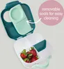 An open lunchbox with strawberries in one compartment and a removable seal shown separately. Anteprima dell’immagine prodotto