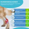 A dog's hind leg with a diagram of the knee joint highlighted, next to a list of benefits for a dog knee brace. Produktbild-Vorschau