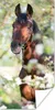 MuchoWow® Poster Pferde - Blüte - Frühling - Tiere 20x40 cm Produktbild-Vorschau 1