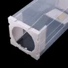 Humanitarna pułapka na szczury Klatka na żywe zwierzęta Podgląd zdjęcia produktu 2