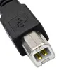 Drucker Scanner Anschluss USB Kabel für Canon PIXMA MP160, Produktbild-Vorschau 7