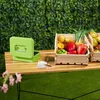 Relaxdays Zamykana kasetka na pieniądze, wyjmowana wkładka, Podgląd zdjęcia produktu 5