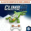 Lézard grimpeur télécommandé, lézard télécommandé qui Voir les images du produit 9