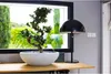 Blumentopf EDA Ø 59 cm Weiß Kunststoff Rund Produktbild-Vorschau 3
