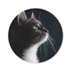 MuchoWow® Mauspad Mousepad Hauskatze 20x20 cm - Mousepads - Produktbild-Vorschau 1