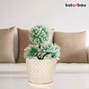 KOTARBAU® Keramik Blumentopf Übertopf für Pflanzen ⌀ 17 cm Produktbild-Vorschau 2