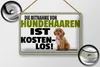 Blechschild Spruch 30x20cm Mitnahme Hundehaaren Produktbild-Vorschau 2