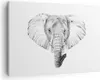 Bild auf Leinwand - Leinwandbild - Elefant Afrika Produktbild-Vorschau 1