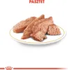 ROYAL CANIN Chihuahua - Paket 12x85g Produktbild-Vorschau 10