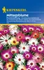 Kiepenkerl Mittagsblume Prachtmischung Produktbild-Vorschau 3