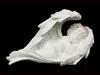 A white angel figurine with a flower crown on its head, lying on its side. Produktbild-Vorschau