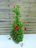 [Palmenlager] XL Dipladenia/Mandevilla "Rio Grande" ROT - Produktbild-Vorschau 3