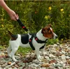 Car Safety Harness Karlie 25-40Cm Black Voir les images du produit 6