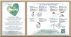 Confezione iniziale di pannolini lavabili Pampers Harmony Anteprima dell’immagine prodotto 4